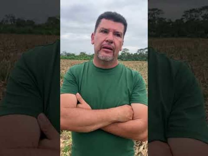Palm Oil+ Partners' Motivation