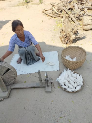 Making Cotton in middle part of Myanmar