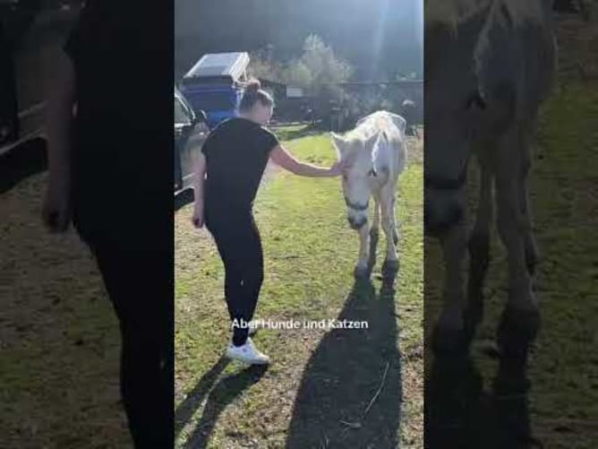 Tierfreunde vor Ort