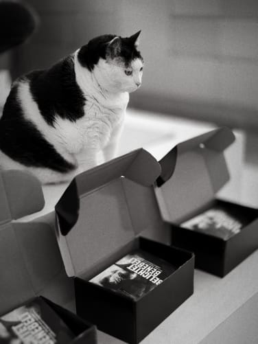 D Amy passt uf das alles richtig verpackt wird..