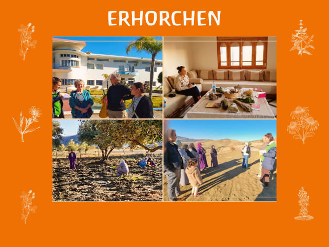 Paar eindrücke Heilpflanzen Reise November 2025