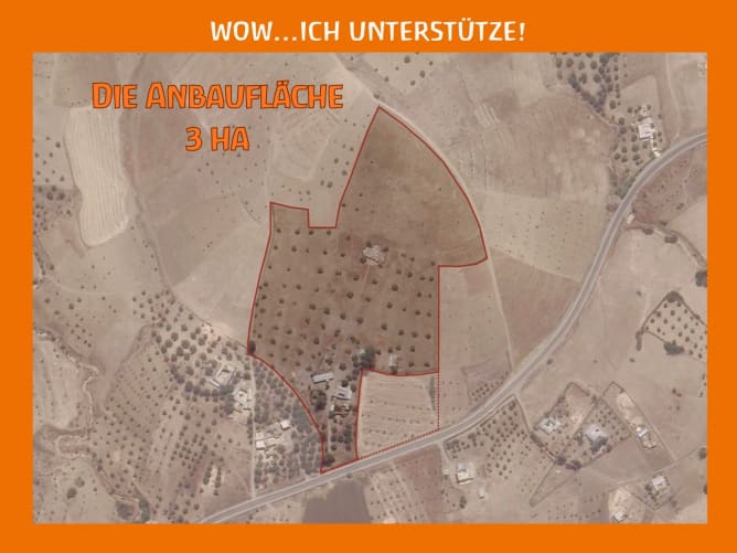 Das Stück Land von Oben 