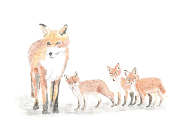 une faune émouvante...