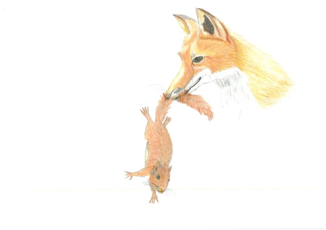 des rencontres surprenantes...