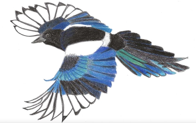 Les aventures de Léo et Margot, c’est… 