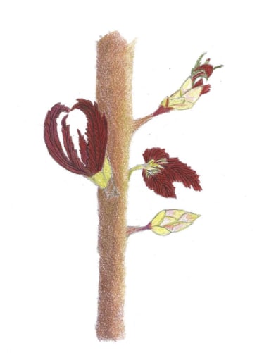 des découvertes saisonnières…