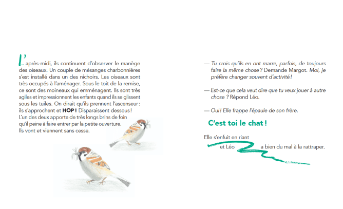 Les moineaux bâtisseurs