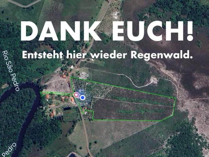 Aufzuforstende Fläche