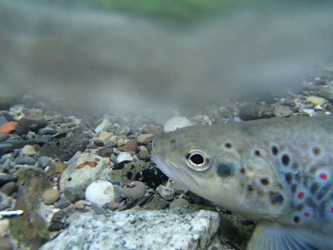 Engagiere Dich für die Zukunft