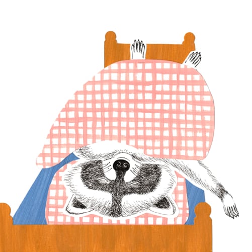 Geschichte: In der Nacht