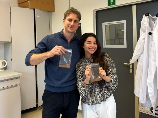 Ideen zu echten Produkten machen