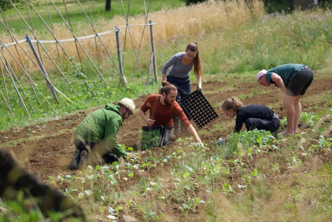 Gemeinsam auf dem Acker während unserem Sommercamp
