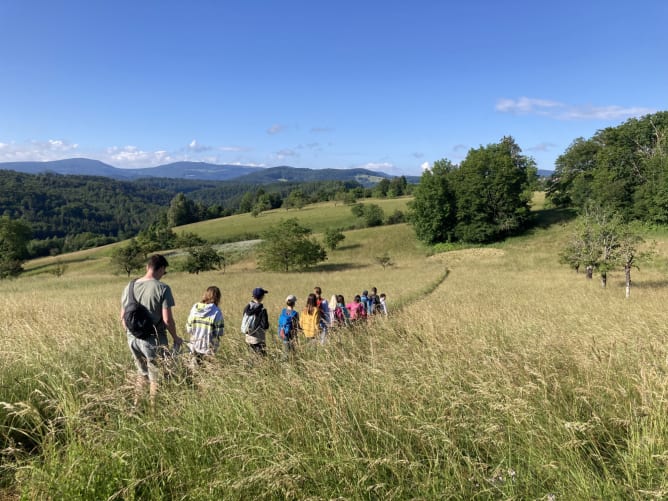Schulklasse auf den Feldern