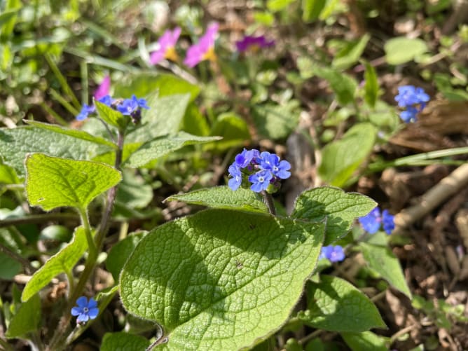 Ich werde diesen Weg niemals vergessen.