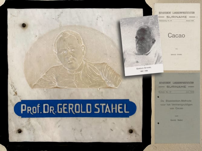 Wichtiger Kakaoforscher, der Schweizer Georg Stahel. Das Denkmal befindet sich im Ministerium für Landbau in Paramaribo