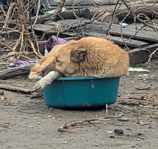 Lasst uns gemeinsam für ihn eine bessere Umgebung schaffen