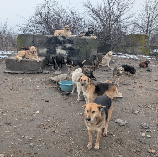 Lasst uns gemeinsam für sie kämpfen!