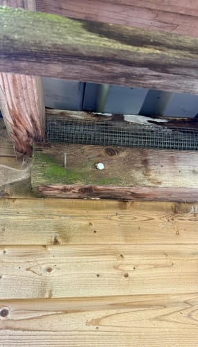 Schaden des Daches unseres Klubhauses