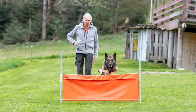 Begleithundetraining