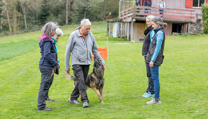 Begleithundetraining