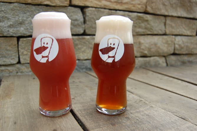 Craftbier Gläser