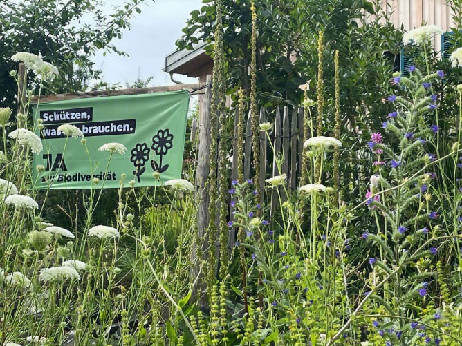 Artenvielfalt braucht unseren Schutz – jeden Tag. Zwischen Wildblumen, Hecken und Kräutern leben wir auf unserem Hof die Verantwortung für eine intakte Natur, die uns alle trägt.