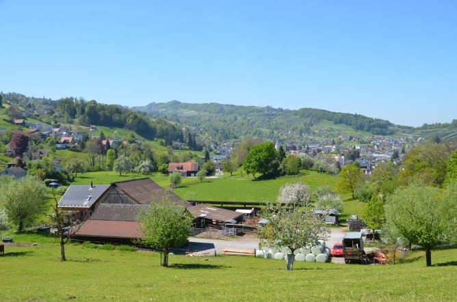 Eine Oase der Ruhe: Unser Hof liegt eingebettet in eine vielfältige Grünlandschaft, die wir bereits in der dritten Generation bewirtschaften. Fernab der hektischen Gesellschaft haben wir hier einen Ort geschaffen, an dem Mensch, Tier und Natur im Einklang leben. Die gelebte Biodiversität und unser tiefes Bewusstsein für die Natur garantieren dabei einen rundum respektvollen Umgang mit allem, was hier lebt und wächst.