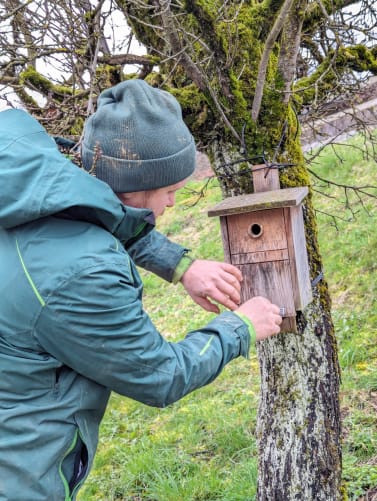 Vogelhäuser für mehr Biodiversität
