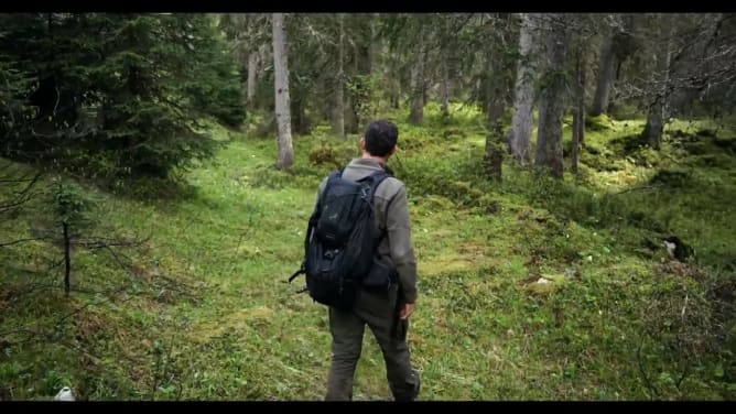 La part des loups - Les pièges vidéos