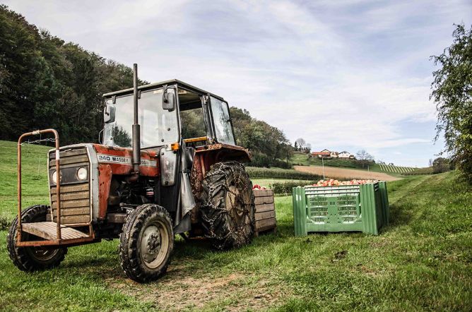 Ganz schön romantisch schaut es aus am Geburtsort MANAs. Das ganze Jahr arbeitet der Landwirt an guten Produkten für uns Konsumenten. Das soll sich für ihn lohnen und uns schmecken. Content