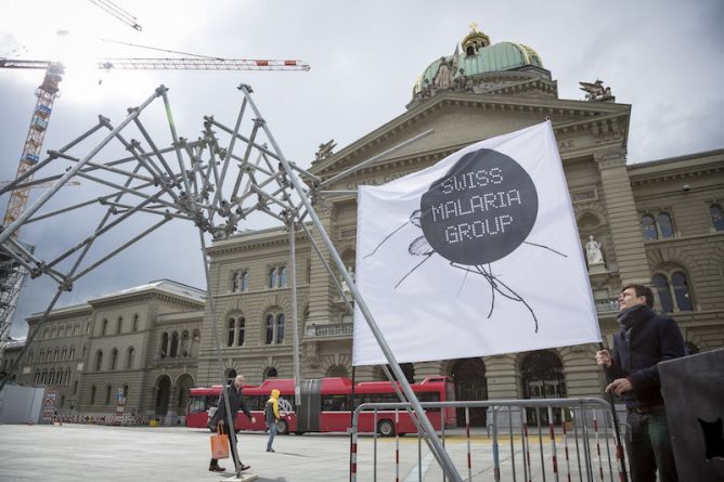 A huge mosquito ’lands’ on the Bundesplatz in Bern during our World Malaria Day event in April 2016. It illustrates the dramatic impact made by a single sting. Content