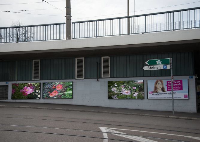 Wie wärs mit Blumen? Content