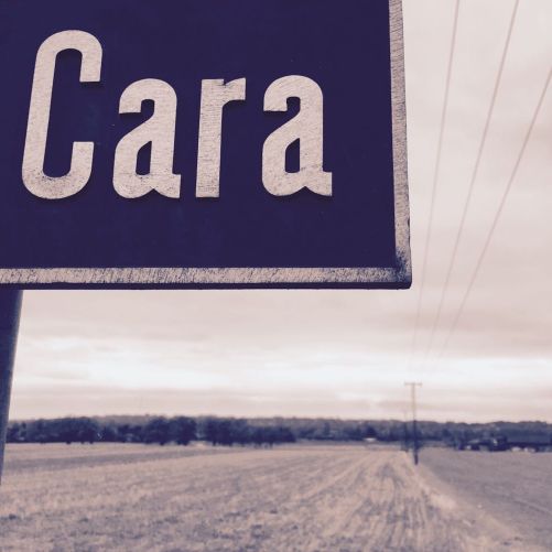 Cara - The new single by The Flocking Murmuration Content