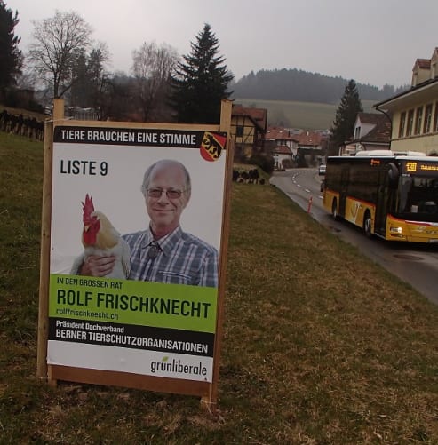 Plakat- Tiere brauchen eine Stimme in Neuenegg Content