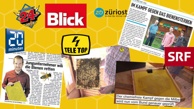 Medienecho Content