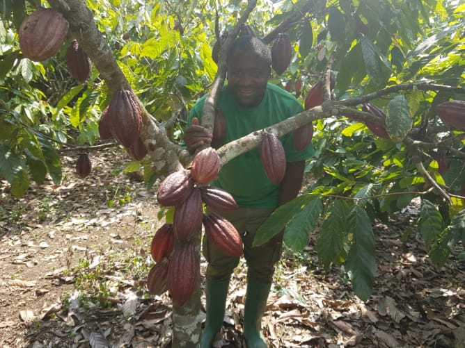 Cocoa Valley Chocolats — Crowdfunding sur wemakeit