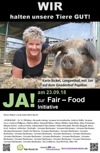 Annonces collectives Content