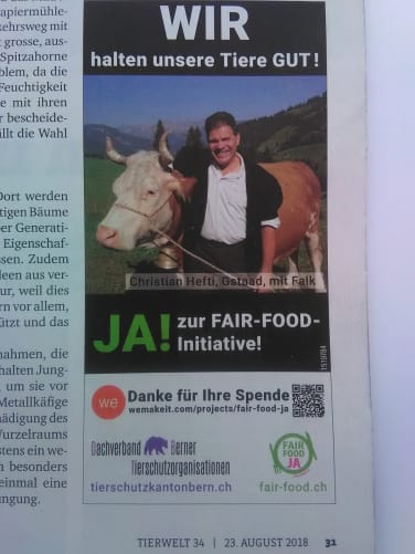 Fair- Food Ja! Content