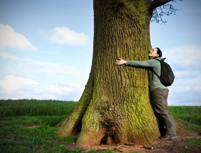 Wer den Wald liebt, unterstützt Forestbook. Content