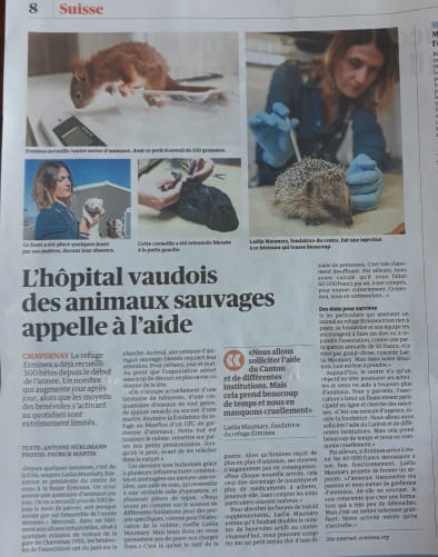 Erminea dans Le Matin Dimanche Content