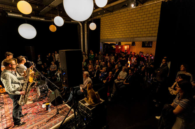 @Molton Festival Winterthur Content