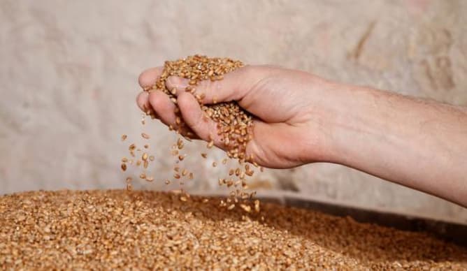 Picture 452bbfcf b9f3 441f 91b6 e34c6b450230