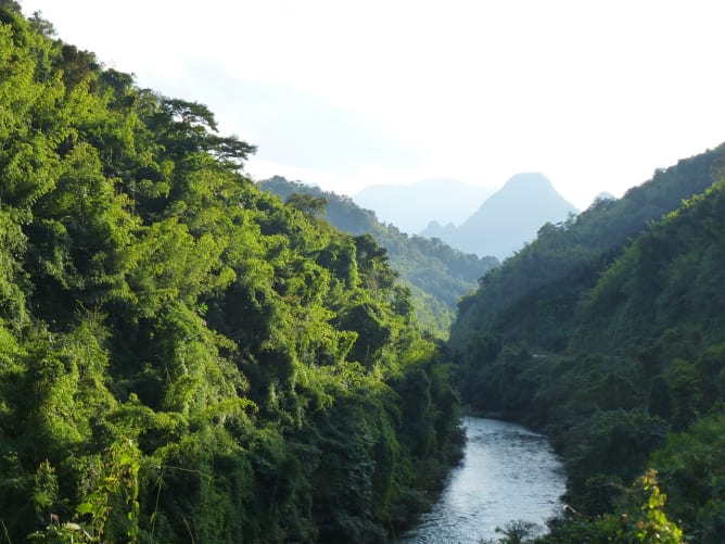 Less and less of the Asian rainforest is looking like this, instead it becomes more and more degraded and cleared for farmland, wood harvesting, mining or industrial development. © Erdmann-Crew, via pixabay Content