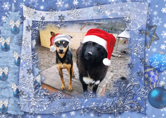 Happy Adventszeit Content