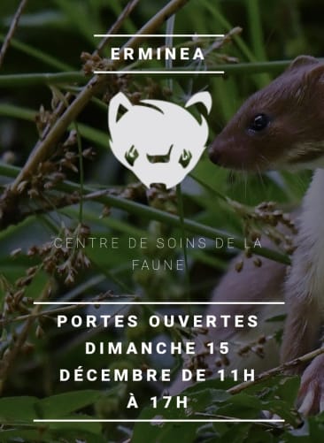 portes ouvertes du 15 décembre Content