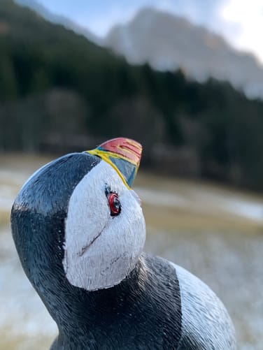 Encore un bout jusqu'au sommet, mais il est en vue... Content