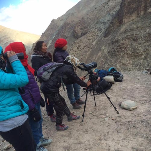 Training in spotting Wildlife