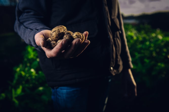 Picture 70747246 18e4 4f5b aeba 4a791b18ce50