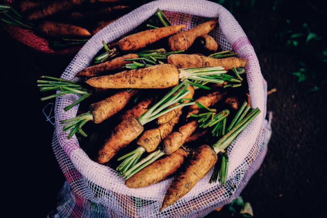 Picture b49ce5cc bf3c 4e8a 8dae 65da5815bcd3