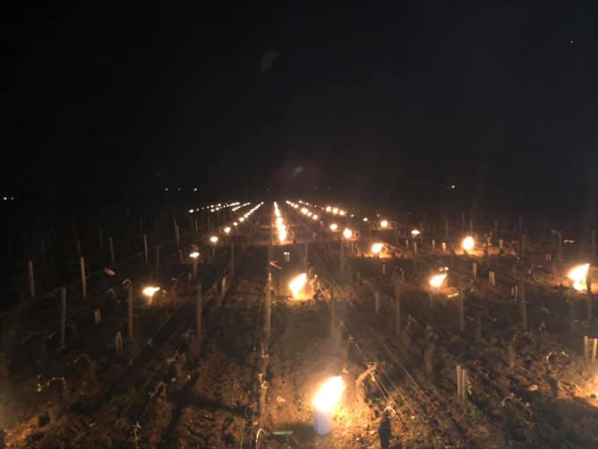 Bougies au parafine pour réchauffer les bourgeons Content